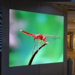 P2.5 Indoor Full Color LED Screen Outdoor 2.5mm SMD 2121