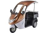Digital LED Display 1200W Brushless 3 Wheel Electric Tricycle