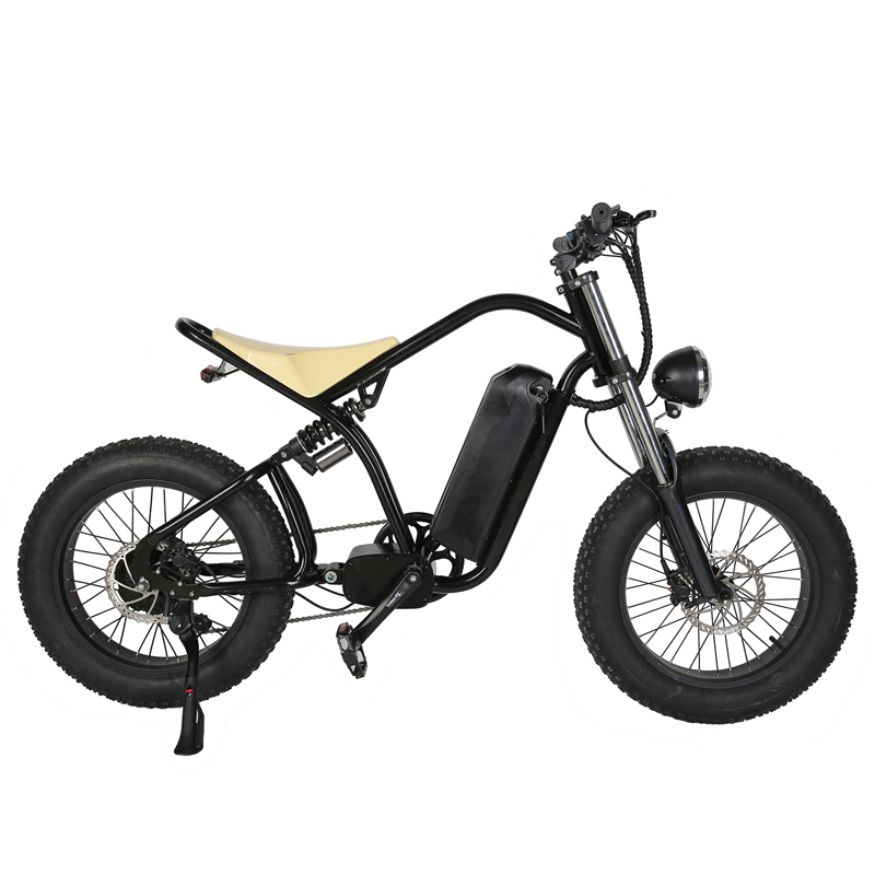 Disc Brake 2023 Style 20" Fat Tire Electric Enduro E-Bike for Off Road MTB Bicycle