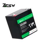 Rechargeable Lifepo4 Battery 12v 76.8Wh Lithium Iron Phosphate Battery