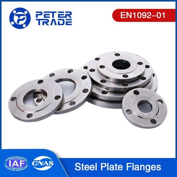 European Standard EN1092-01 ASTM A105 Plate Flange Carbon Steel PN16 PLFF/PLRF