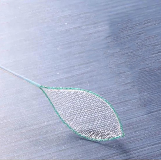 Stainless Steel Disposable Grasping Forceps Class II