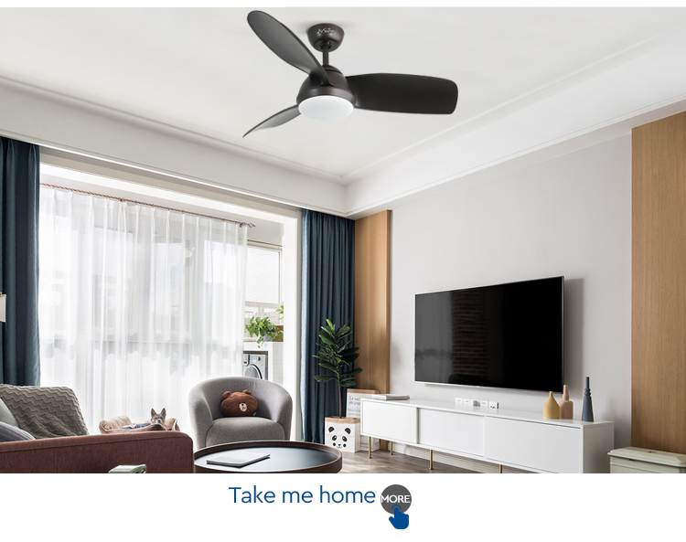 ceiling fan