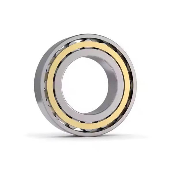 Machine Parts N1060 Cylindrical Roller Bearing Steel Professional Bearing