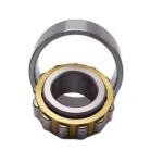 Hot Selling Factory Price Cylindrical Roller Bearing N315 NJ315 NU315 Roller