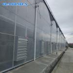 PE Film Covering Heavy Duty Plastic Greenhouse / Prefabricated Poly Tech