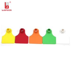 Quality Reused Livestock TPU Swine Pig Ear Tags For Tracking Identification ISO9001 wholesale
