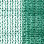 olive tree harvest net collect
