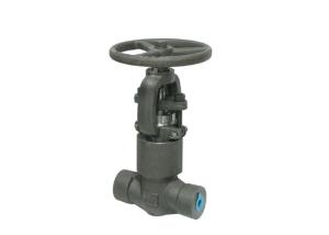 Quality ISO Extended Stem Gate Valve , A105 High Pressure Gate Valve wholesale