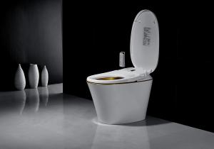 Quality Integrated Electric Bathroom Smart Toilet With Self Closing Intelligent Toilet Seat wholesale