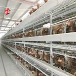 Angle Iron Poultry Breeding Cage System For Nigeria Zambia Kenya Ghana Cameroon