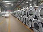 Bridge Engineering Customizable Gi Sheet Galvanized Steel Coil for Marine
