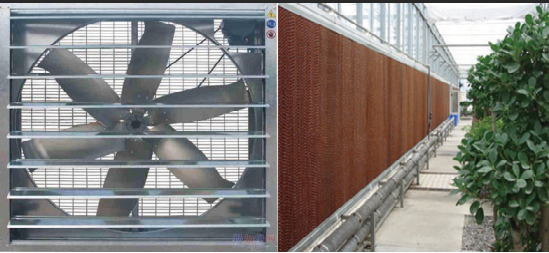 Food Grade PVC Pipe NFT Channel Hydroponic Greenhouse Eco Friendly