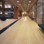 Indoor Above Grade/Wood Subfloor 12mm 14mm Natural Color Click System Bamboo