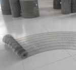 Welded Chicken Galvanised Stainless Steel Welded Wire Mesh Belt