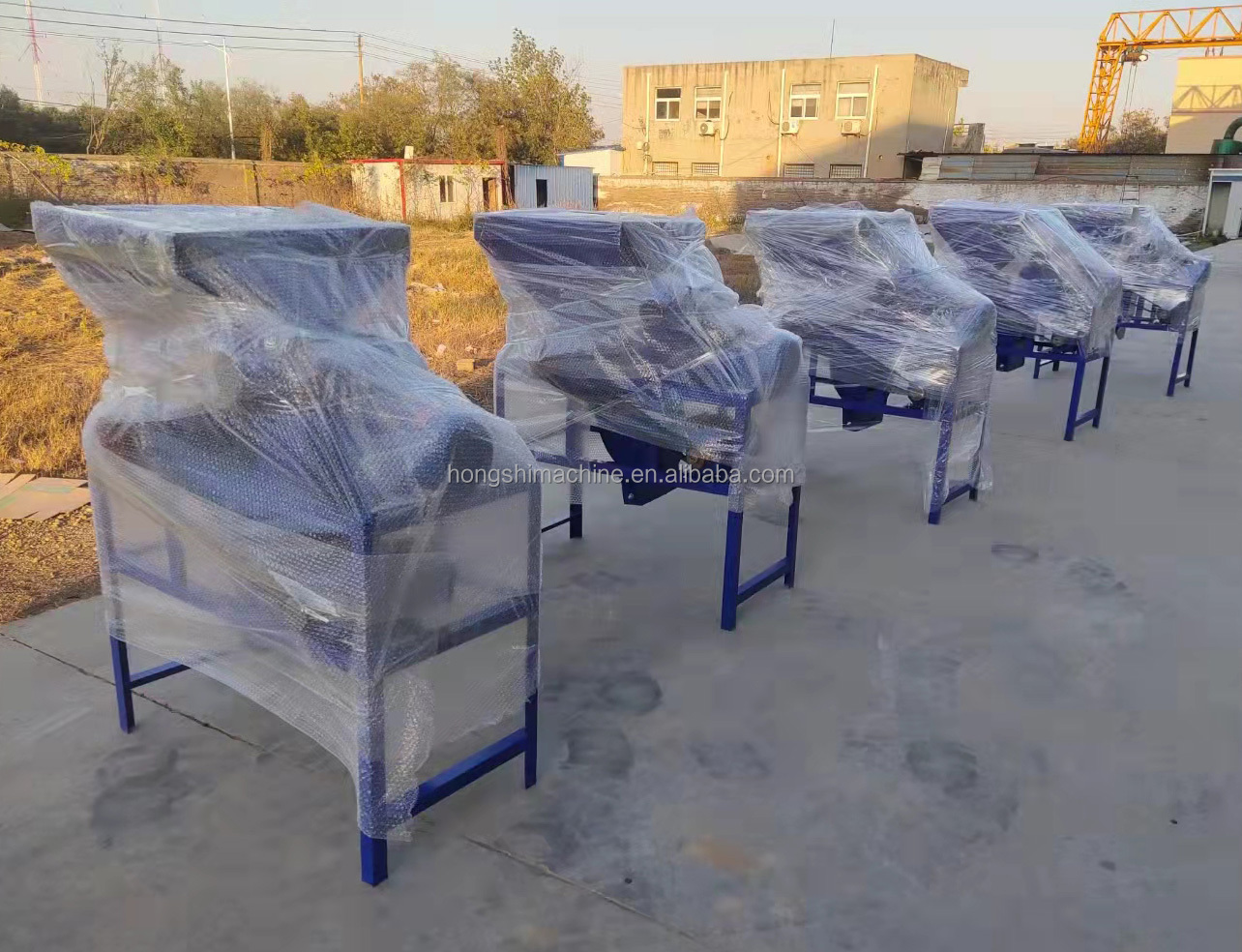 Camellia Seed Shelling Sorting Automatic Food Processing Machine Commercial