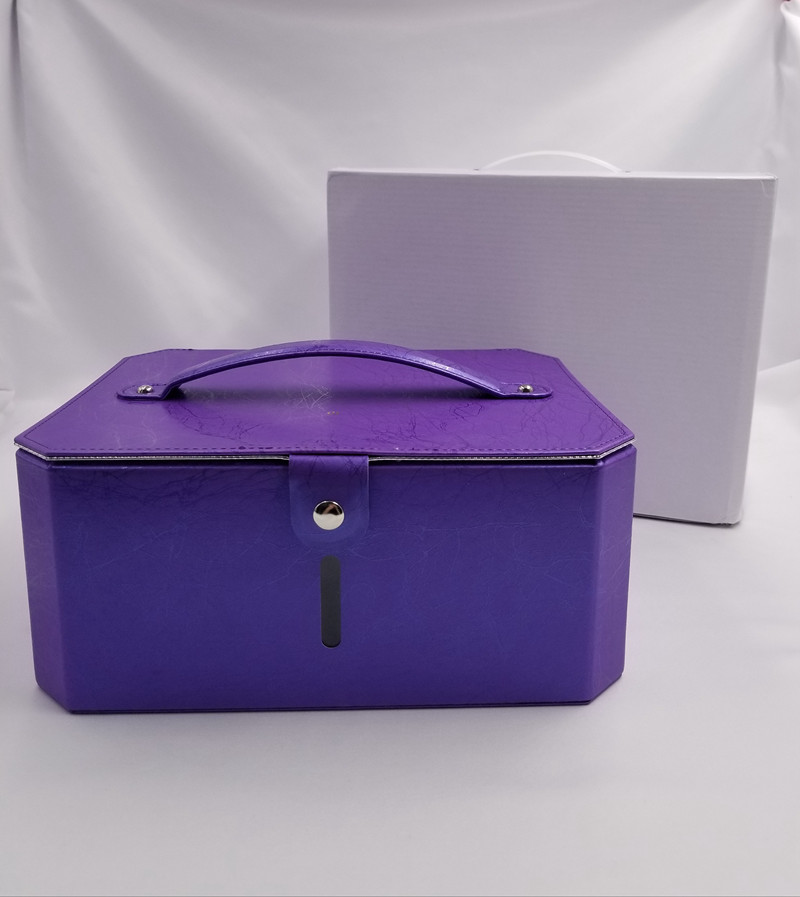 Purple Ozone Family 6 Pcs LED Lamp UV LED Sterilizer Bag