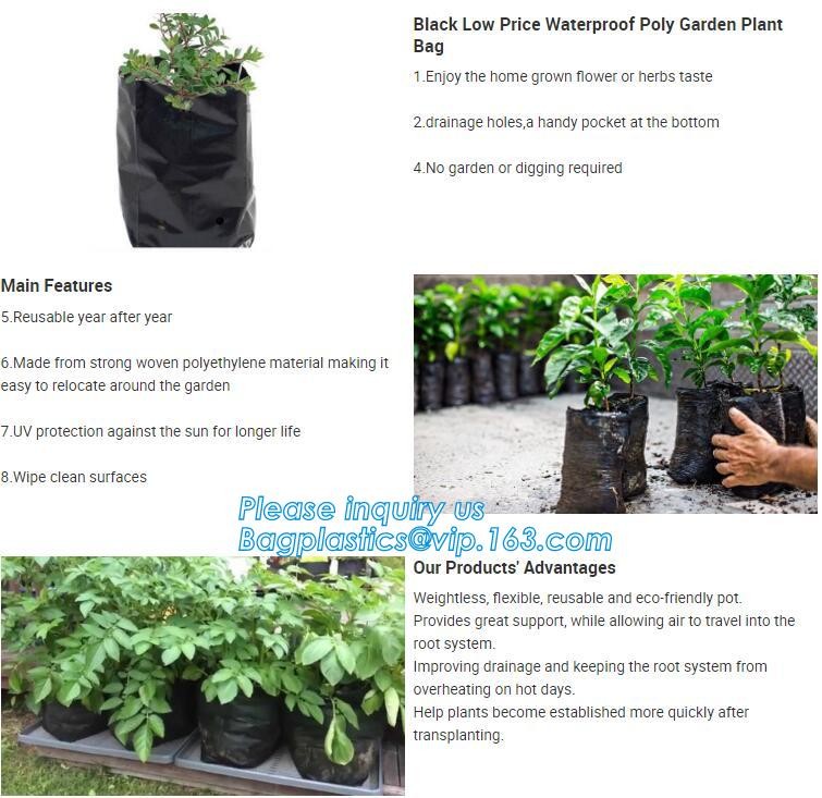 100 /200/300 gallon tan tree grow bag 100gallon grow bag for plant trees,vegetables grow bags planting bags growing bags