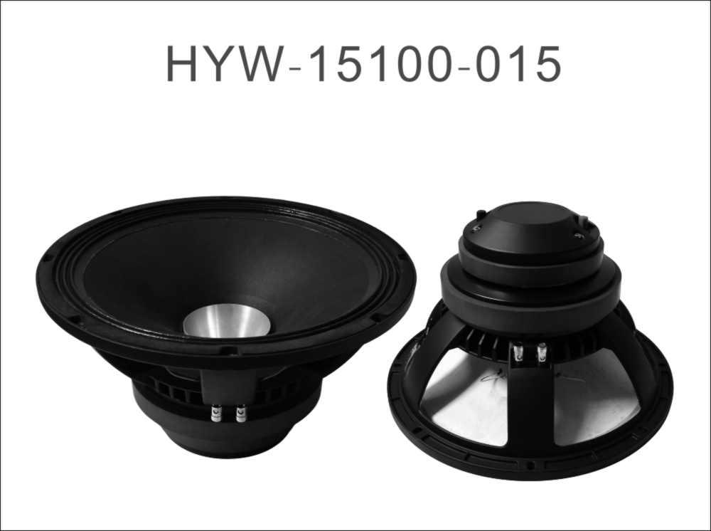 Ferrite magnet 15'' 20khz Coaxial PA Speaker With Big Horn