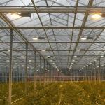 Stability Venlo Type Greenhouse / High Standard Venlo Glasshouse Good Appearance