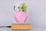 Hot Sale Levitating Air Bonsai Pot Rotation Planters Magnetic floating Flower