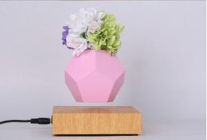 Quality LYFE levitating planter,MAGNETIC levitation air bonsai tree pot plant wholesale