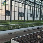 Smart Multi Span Venlo Glass Greenhouse Solar Photovoltaic Greenhouses Fruit