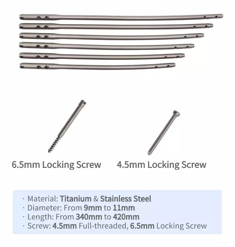 Stainless Steel Reconstruction Femoral Intramedullary Nail
