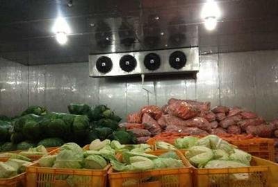 Commercial Cold room price 20ft container walk in freezer cold storage for keep fresh fruits /vegetables /fish/transportation