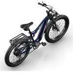 48V 1000W Power MTB Electric Mountain Bike With 17.5ah Lithium Battery Disc