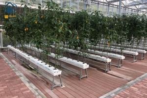 Quality Vegetables PVC Drainage Substrate Planting Gutter Troughs Hydroponic Trough System wholesale