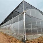 Industrial Multi Span Greenhouse / Pe Film Greenhouse Sheet Covering