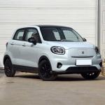 Electric Vehicle Customization Leapmotor T03 4 Seats EV Car 41kwh 403km Mini
