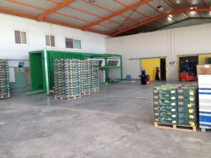 Quality 75kw Vegetable Vacuum Cooler R404A PLC Vaporizing Moisture wholesale