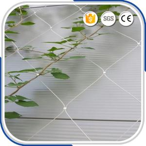 China High Grade Flexible AISI316 2.0MM Wire Rope Ferruled Mesh Green Facade Plant Climbing Net on sale