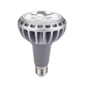 Quality high quality 18w 28w cob par30 5000k led spot lightings wholesale