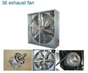 Quality 50&quot; Stir Fan - Poultry Ventilation wholesale