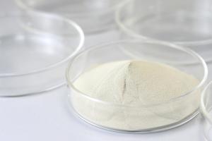 Quality Lactase Food Grade Enzymes β-Galactosidase Catalyze The Breakdown Of Lactose wholesale