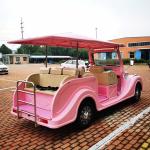 Pink Classic Sightseeing Car New Electric Vintage Car Can Carriage 8 -11 People