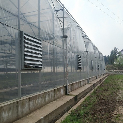 Gothic Style Multispan High Tunnel Plastic Film Multi Span Greenhouse For Tomato Growing