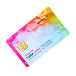 SLE5528 4428 RFID Plastic Pvc Smart Contact Chip Card