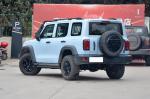 Tank 300 Big Suv Fuel Powered Car With Automatic Transmission And 5 Seats