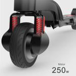 Lightweight Powerful Electric Scooter 250W Li Ion Battery 100KG Max Load