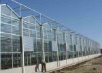 Recycling Anti Snow Planting Multi Span Glass Greenhouse