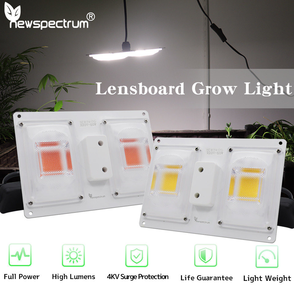 220v COB LED Chip