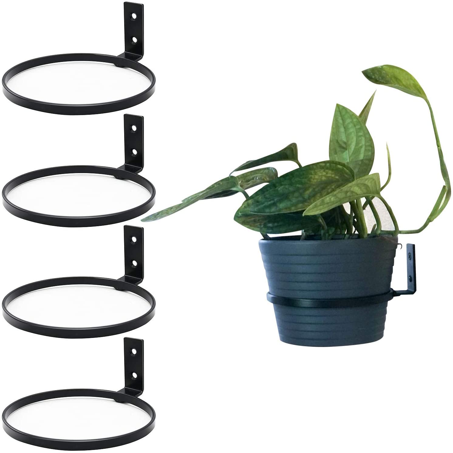 Standard Wall Mounted Pot Rack Flower Pot Hook Ring Foldable Bracket For Home Garden