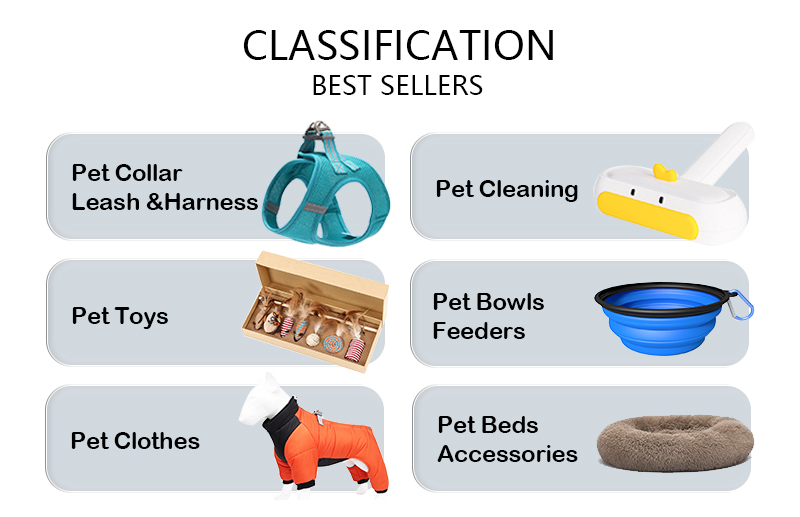 Neoprene Leash Collar Combo Adjustable Soft PVC Red Collar And Leash