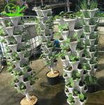Hydroponic Plant Growth Systems Greenhouses for Optimal Results