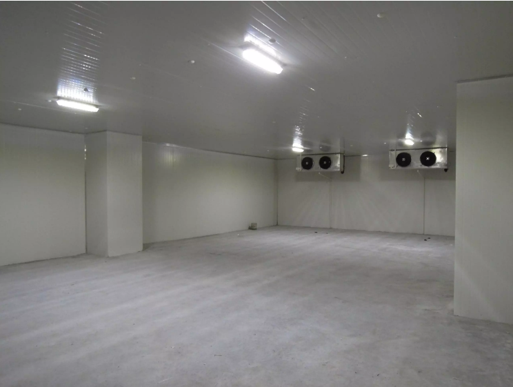 Commercial Cold room price 20ft container walk in freezer cold storage for keep fresh fruits /vegetables /fish/transportation