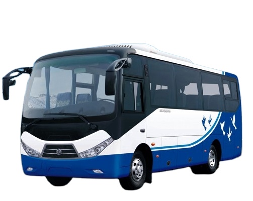 Fuel Type Diesel and CNG 28 Seats Low Floor Business Coach Bus for LHD RHD Drive Wheel